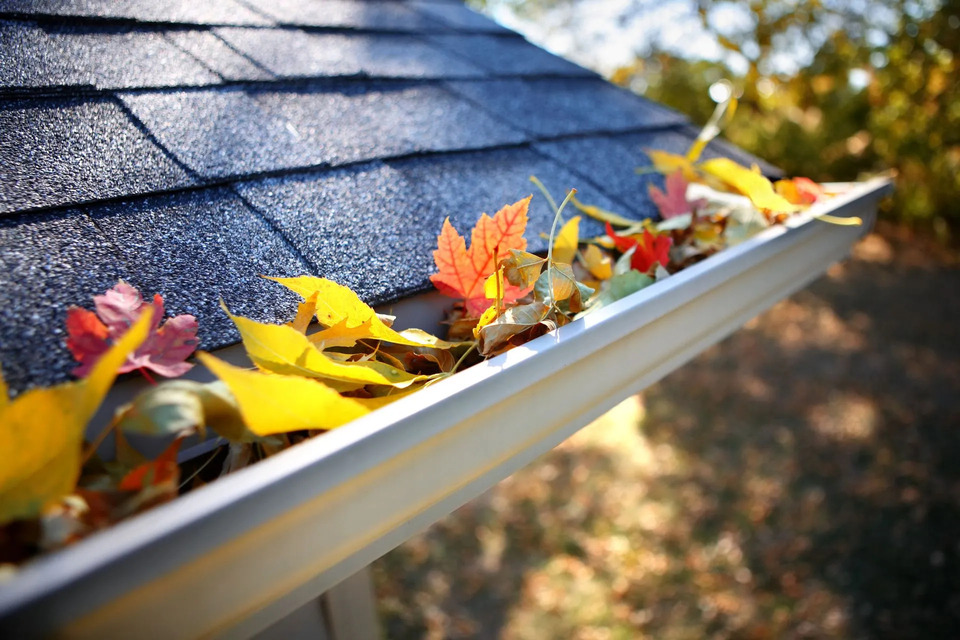 Causes of Gutter Issues a Gutter Repair Company Can Identify